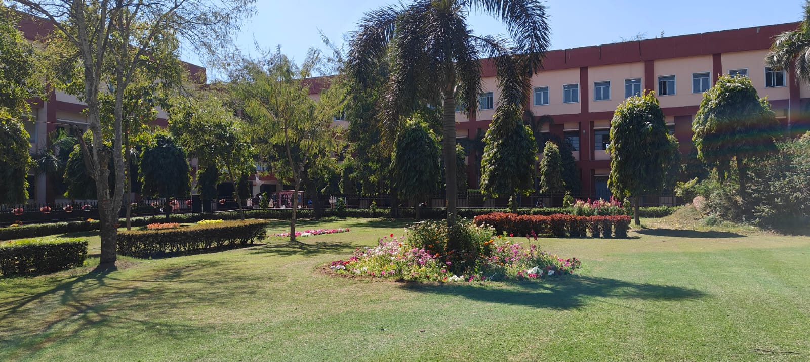 Central lawn with palms and seasonal flowers on the ARSD campus