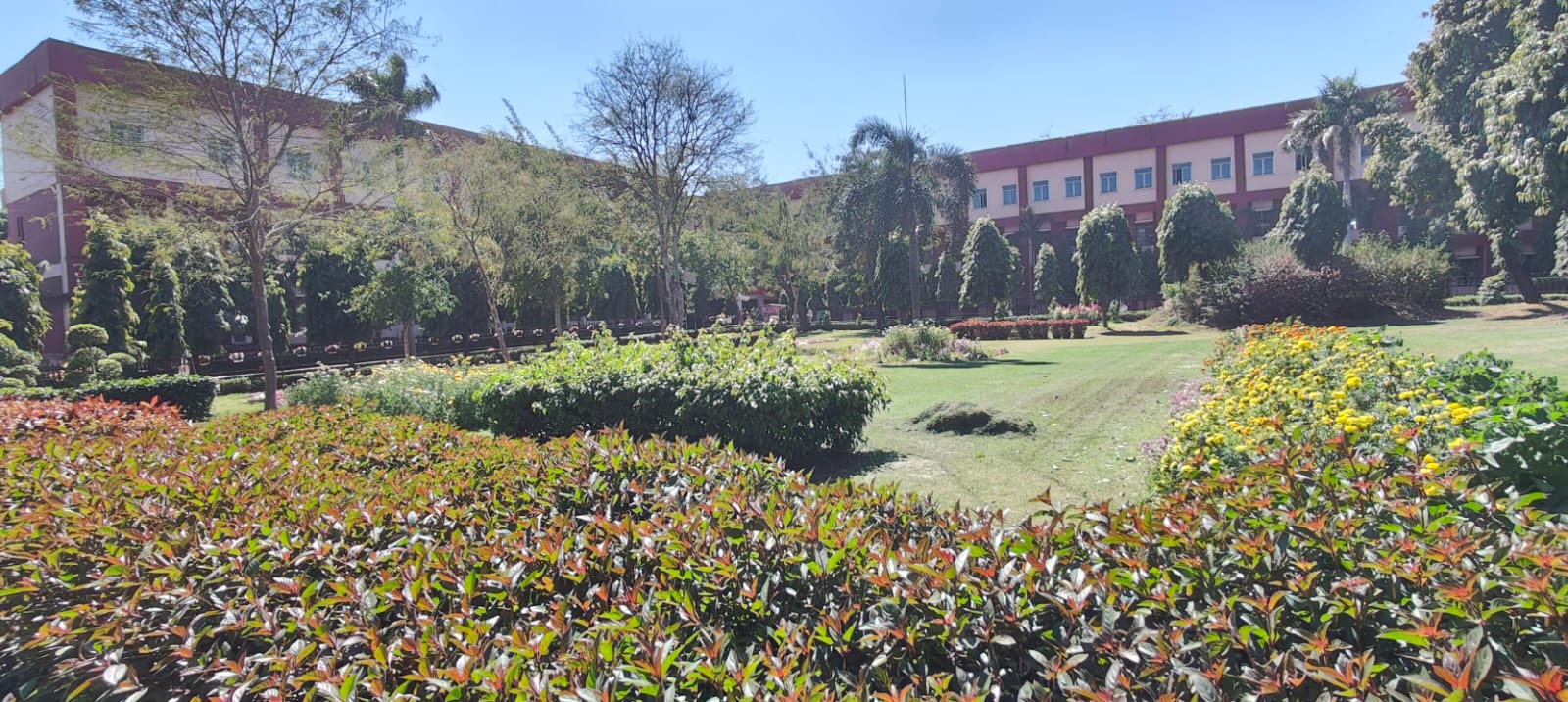 Wide view of the ARSD campus courtyard and hedged gardens