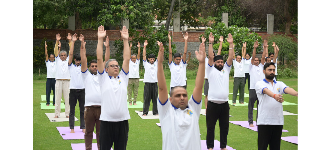 International Day of Yoga 2026 at Hindu College