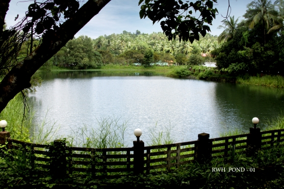 Rainwater-harvesting pond on the IIM Kozhikode campus