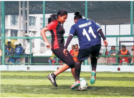 Sports ground and facilities